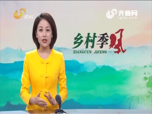 長毛兔——新絨兔，含絨量達80％，一斤絨毛一百二